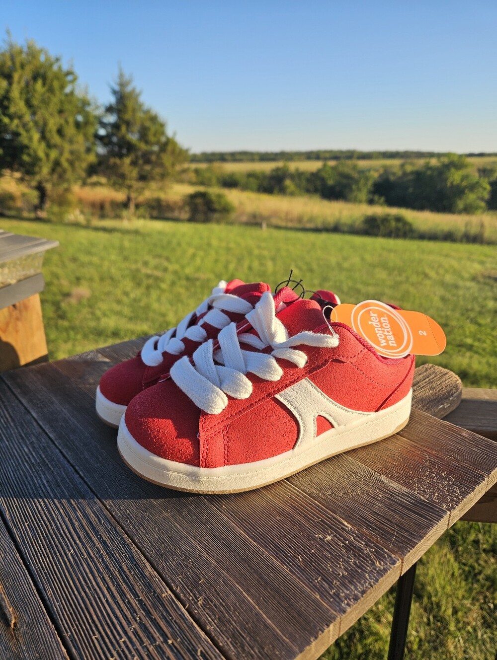 Boys Size 2 Red Skate Shoes Chunky Retro Sneaker Low Top Suede Style Kids NWT